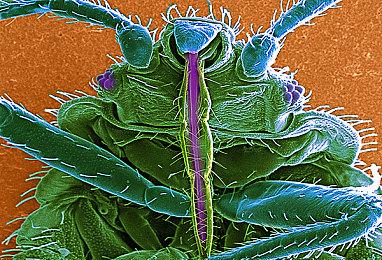 《原神》发布PV短片——「诸苦无隙」